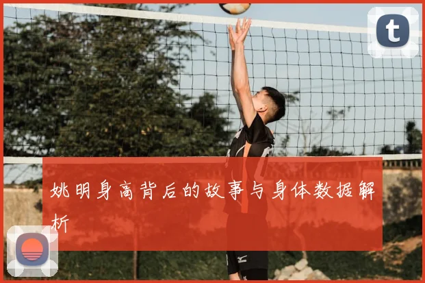 姚明身高背后的故事与身体数据解析