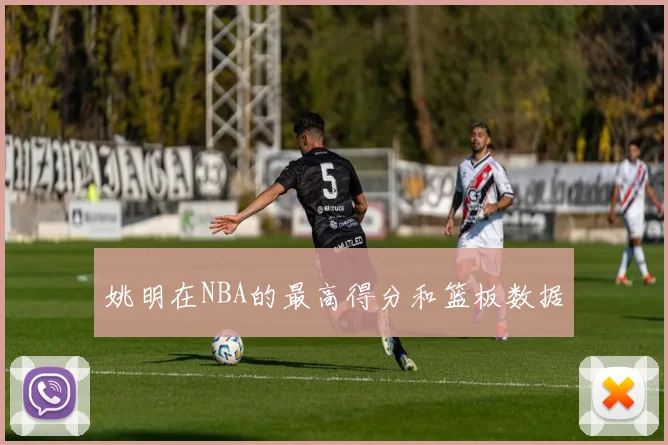 姚明在NBA的最高得分和篮板数据
